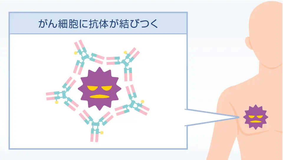 メカニズム02